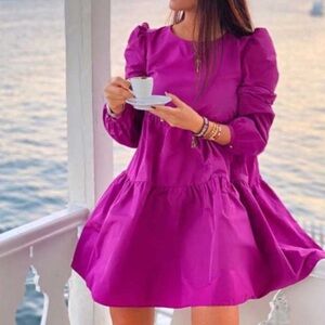 Zara Fuchsia Mini Dress